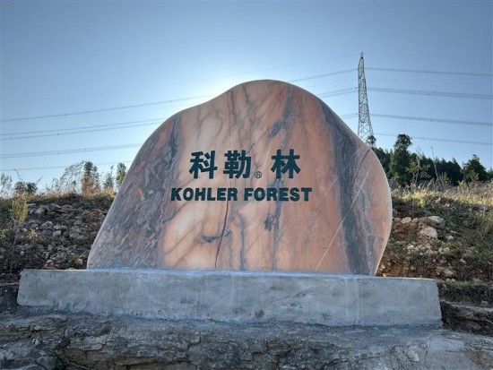 云图片