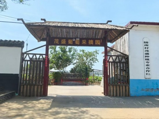 云图片