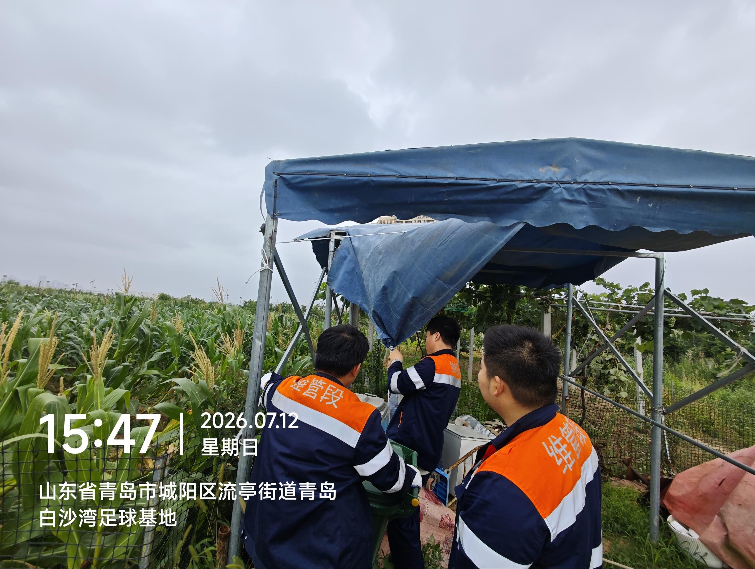 红岛车间5.jpg